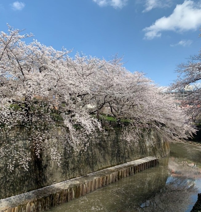 風景写真