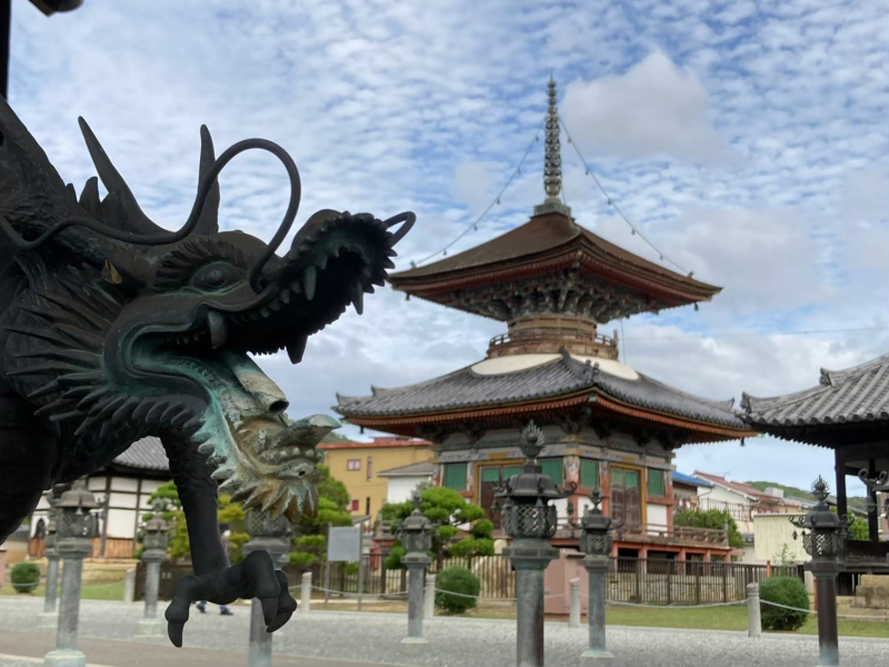 参加者がセミナー後に実際に撮影した写真　その１