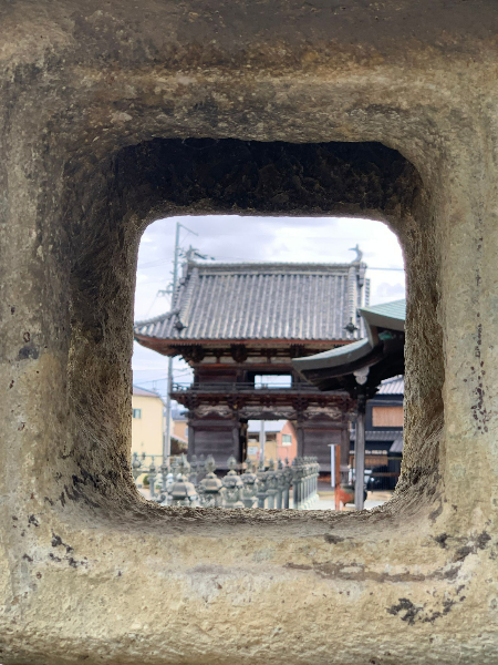 参加者がセミナー後に実際に撮影した写真　その３