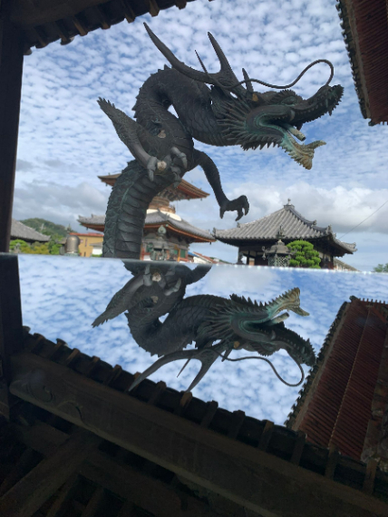 参加者がセミナー後に実際に撮影した写真　その２