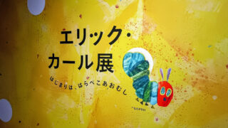 はらぺこあおむし×STEAM　『はらぺこあおむし』の色彩の秘密